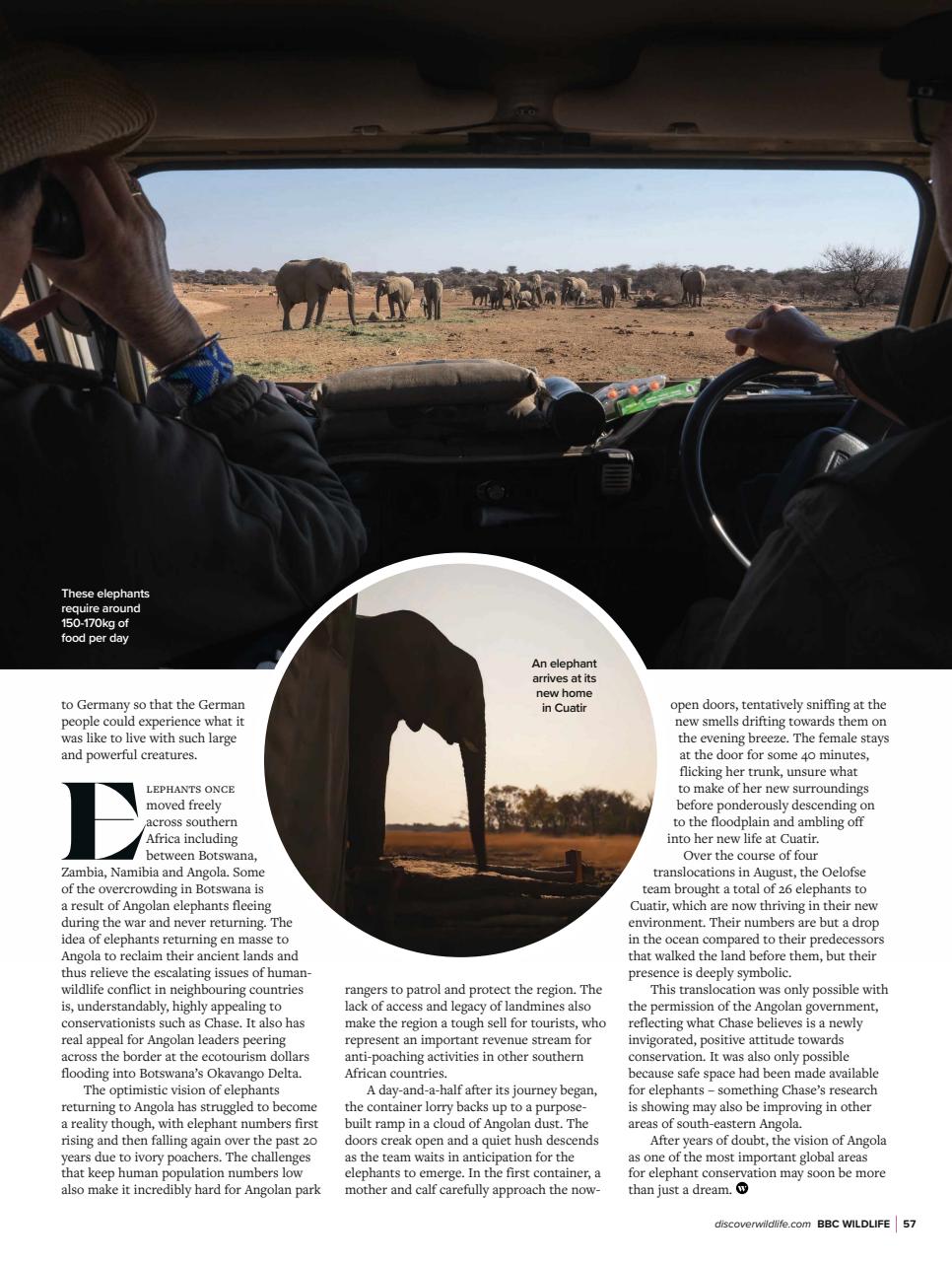 BBC Wildlife Magazine Preview Pages