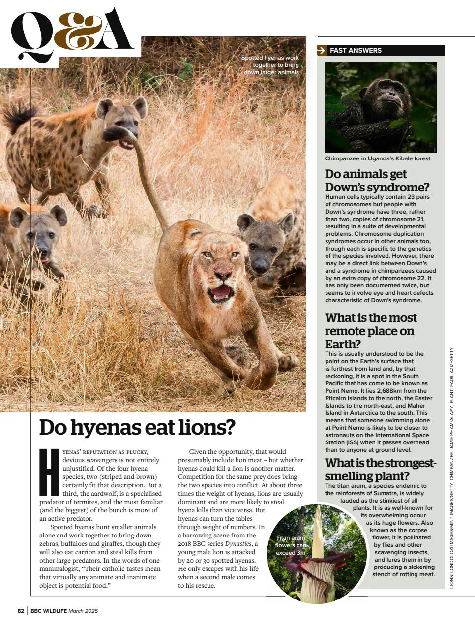 BBC Wildlife Magazine Preview Pages