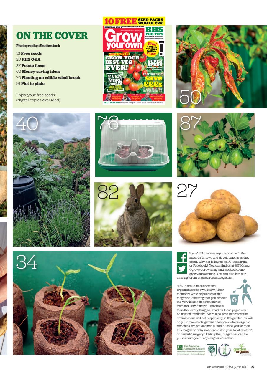 Grow Your Own Preview Pages