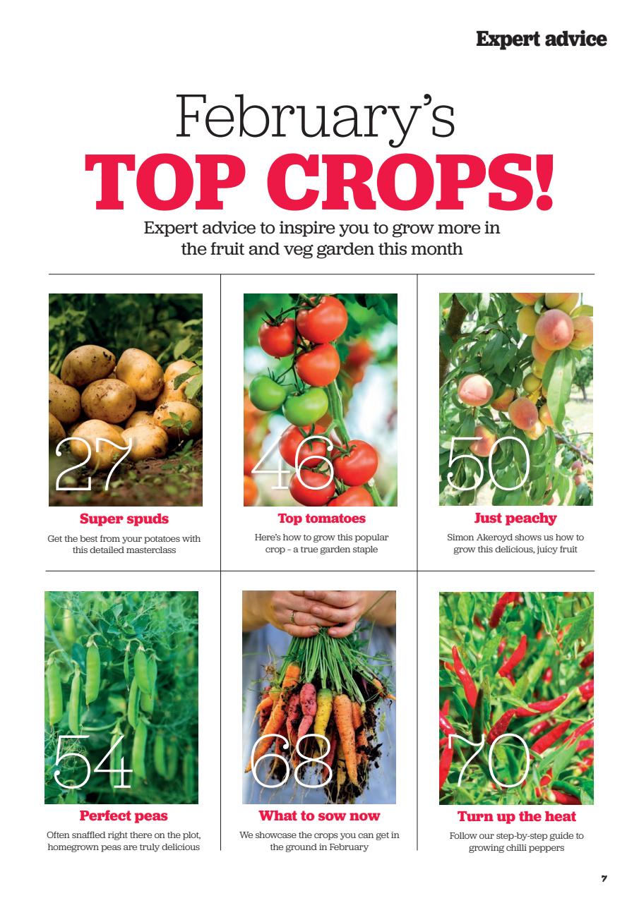 Grow Your Own Preview Pages