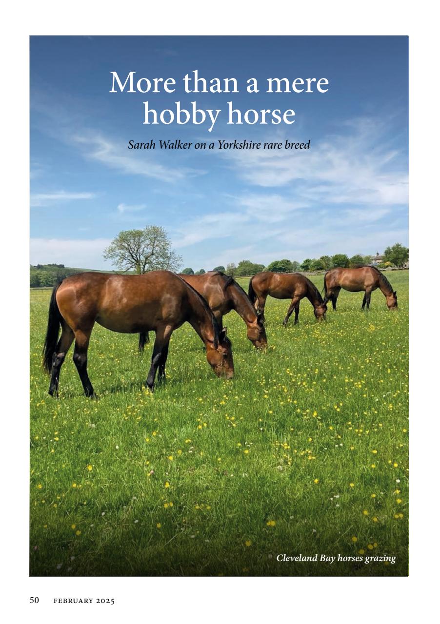The Yorkshire Dalesman Preview Pages