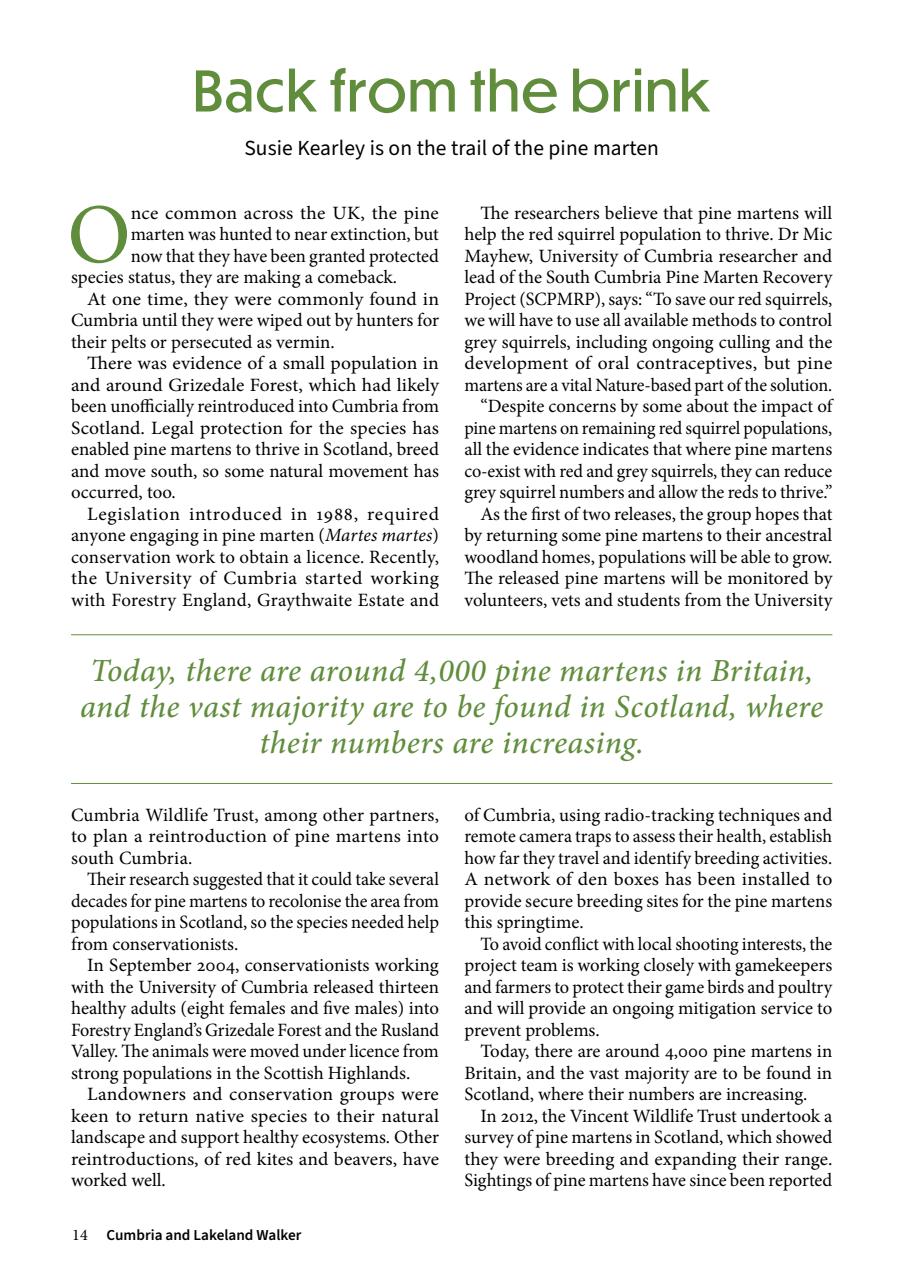 Cumbria and Lakeland Walker Preview Pages