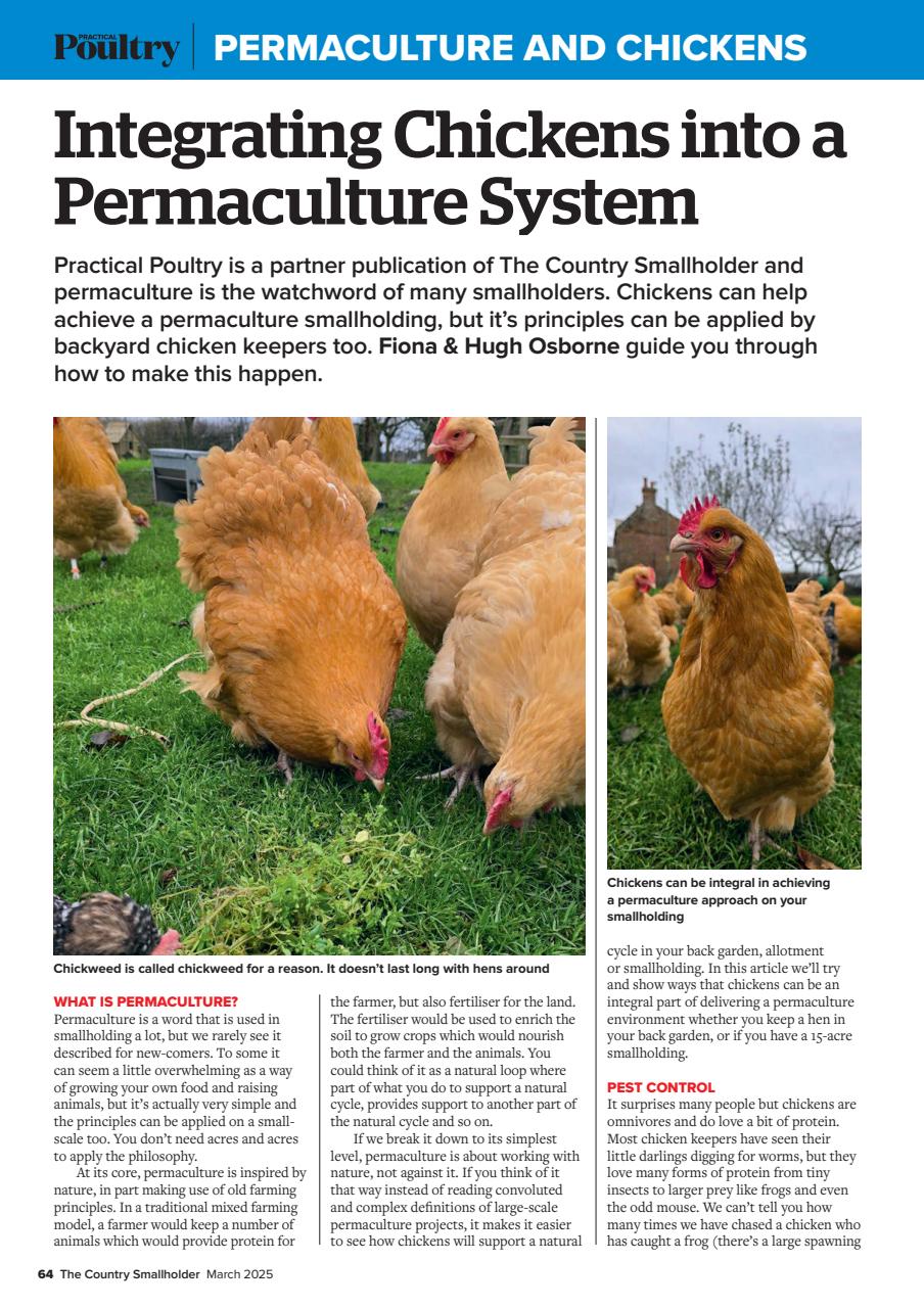 The Country Smallholder Preview Pages