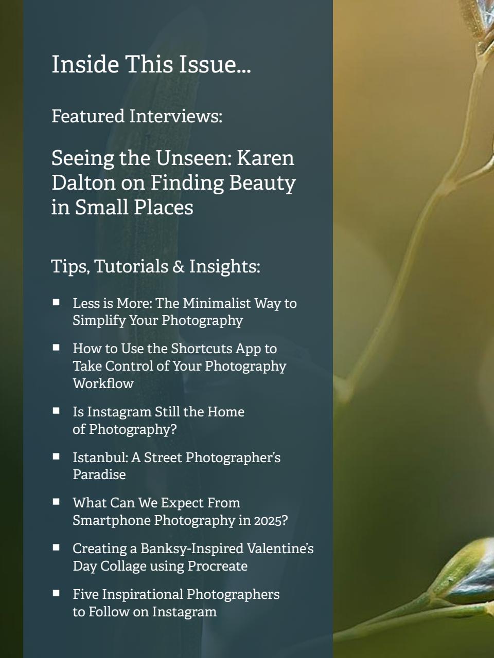 Mobiography Preview Pages