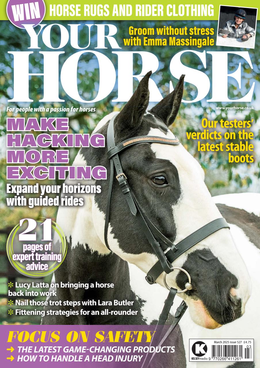 Your Horse Preview Pages