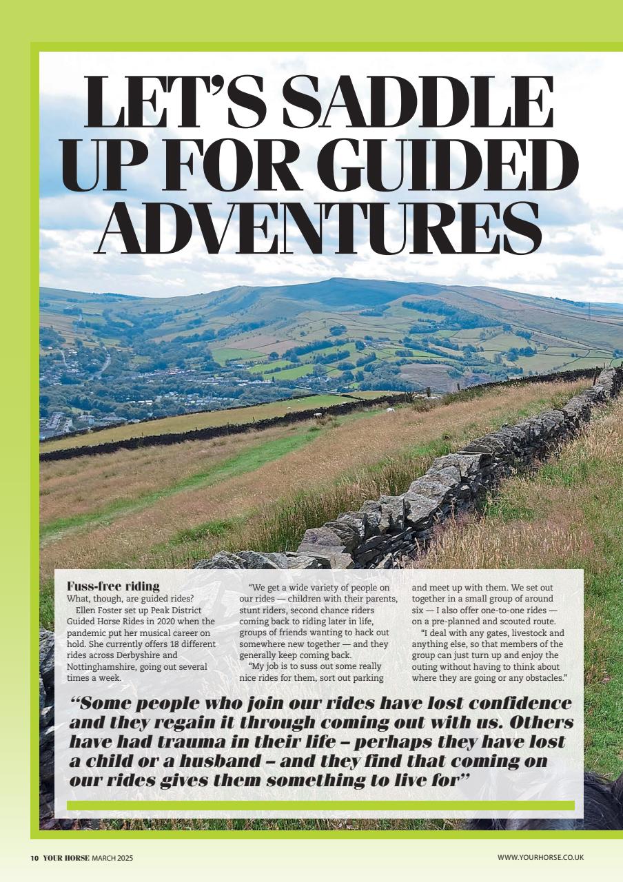 Your Horse Preview Pages