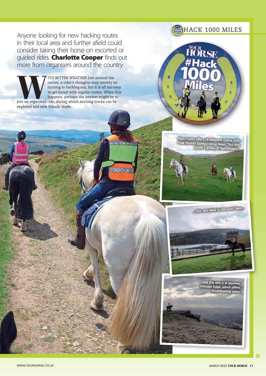 Your Horse Preview Pages