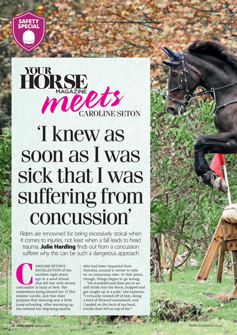 Your Horse Preview Pages