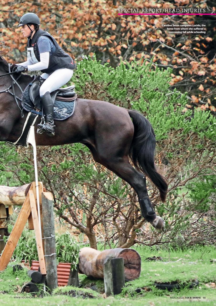 Your Horse Preview Pages