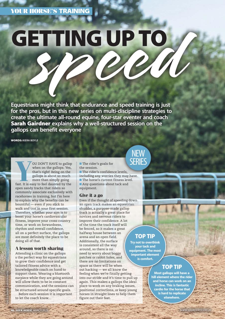 Your Horse Preview Pages