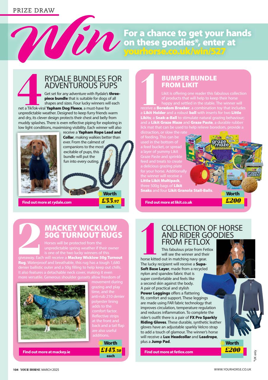 Your Horse Preview Pages