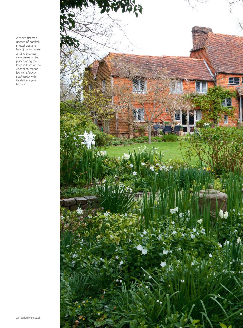 Home Interests Bookazine Preview Pages