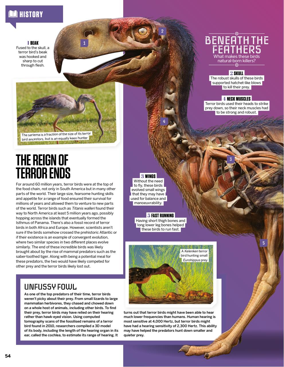 How It Works Preview Pages