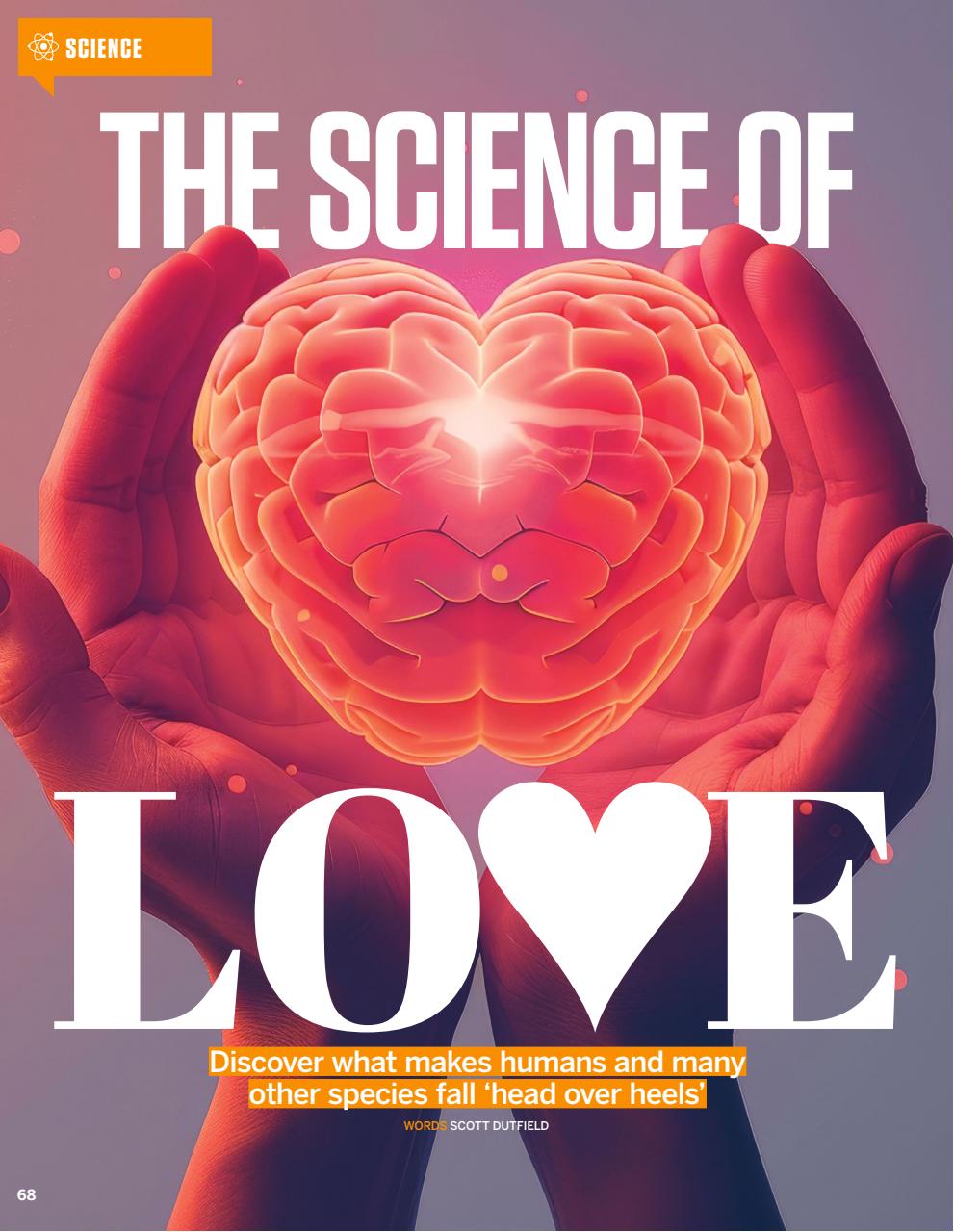 How It Works Preview Pages