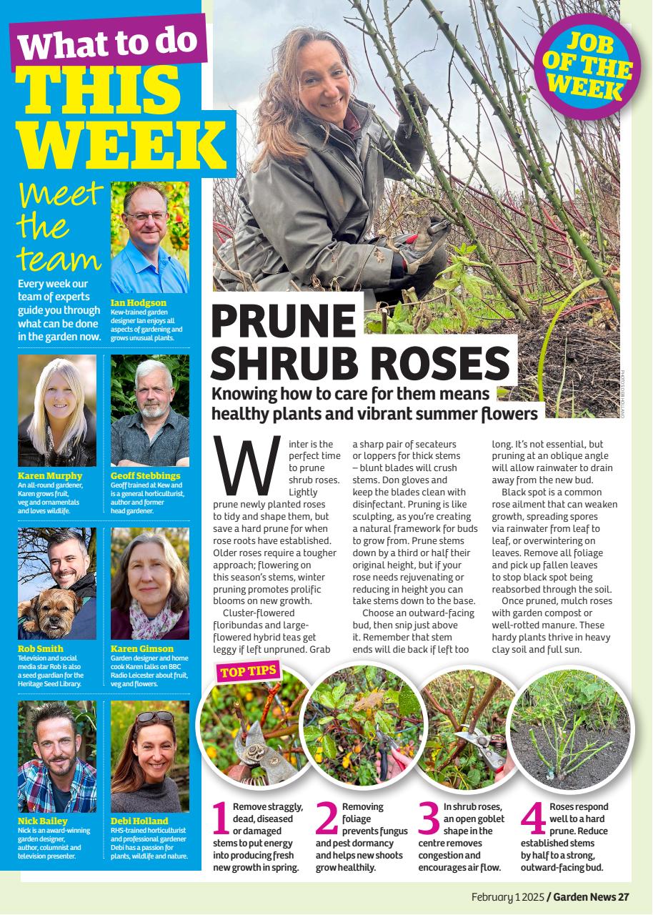 Garden News Preview Pages