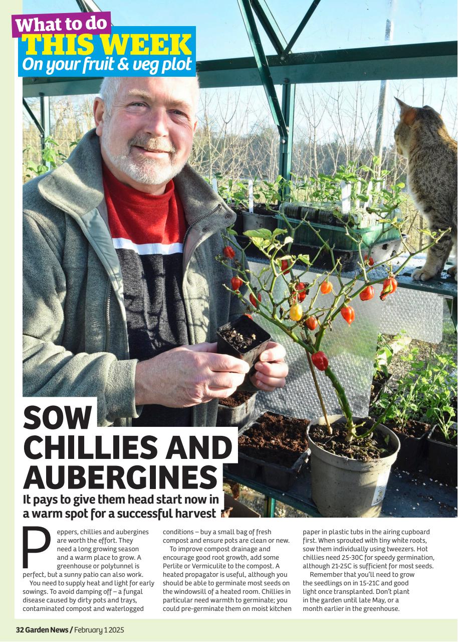 Garden News Preview Pages