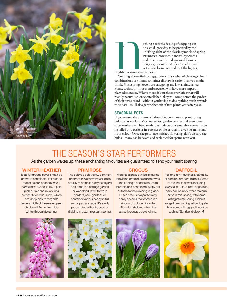 House Beautiful Preview Pages