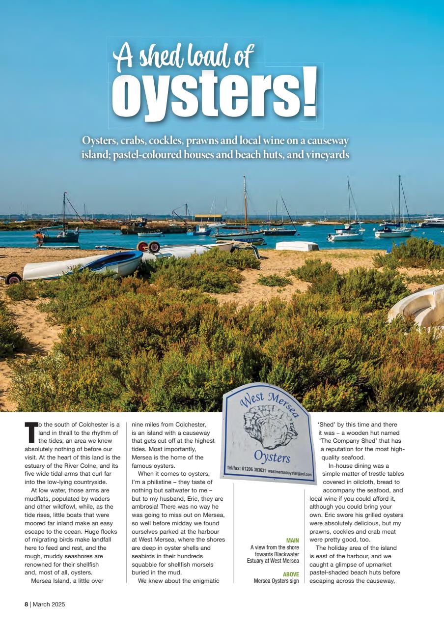 Caravan Magazine Preview Pages