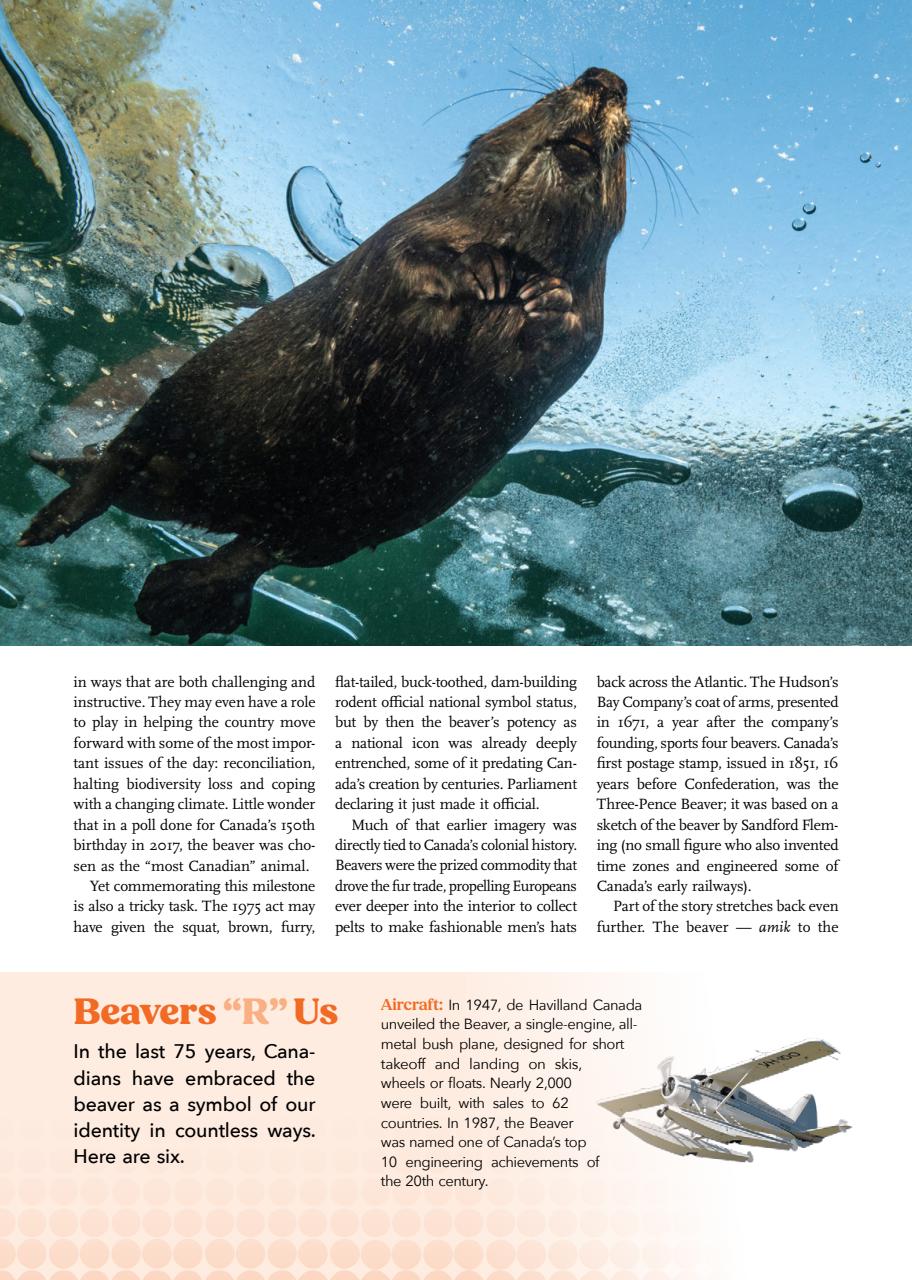 Canadian Geographic Preview Pages