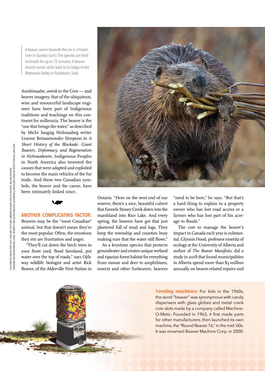 Canadian Geographic Preview Pages