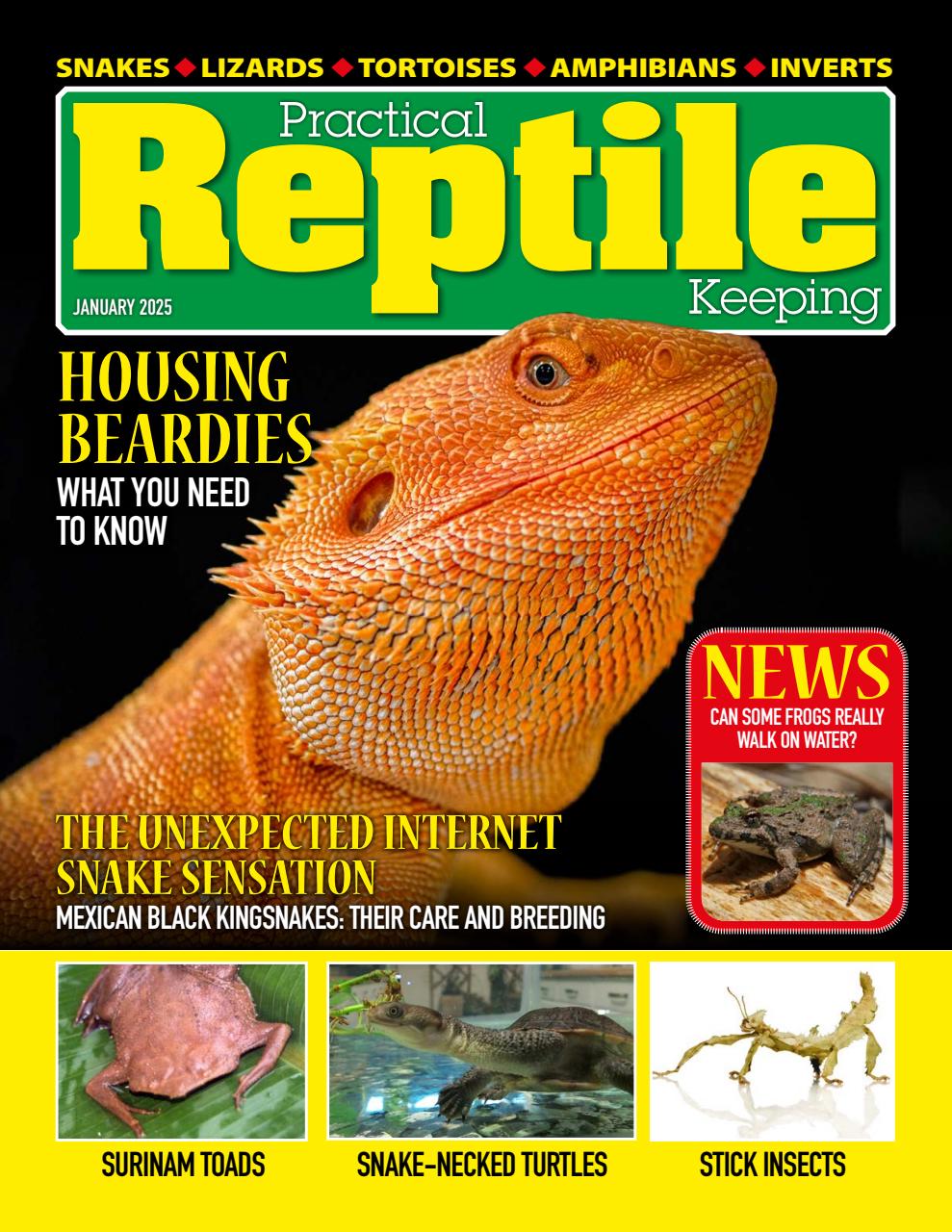 Practical Reptile Keeping Preview Pages