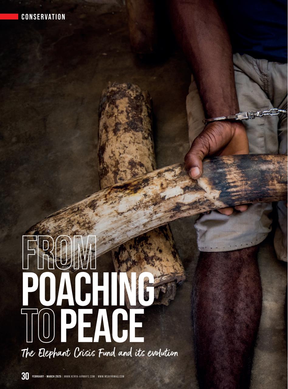 MSAFIRI – Kenya Airways Inflight Preview Pages