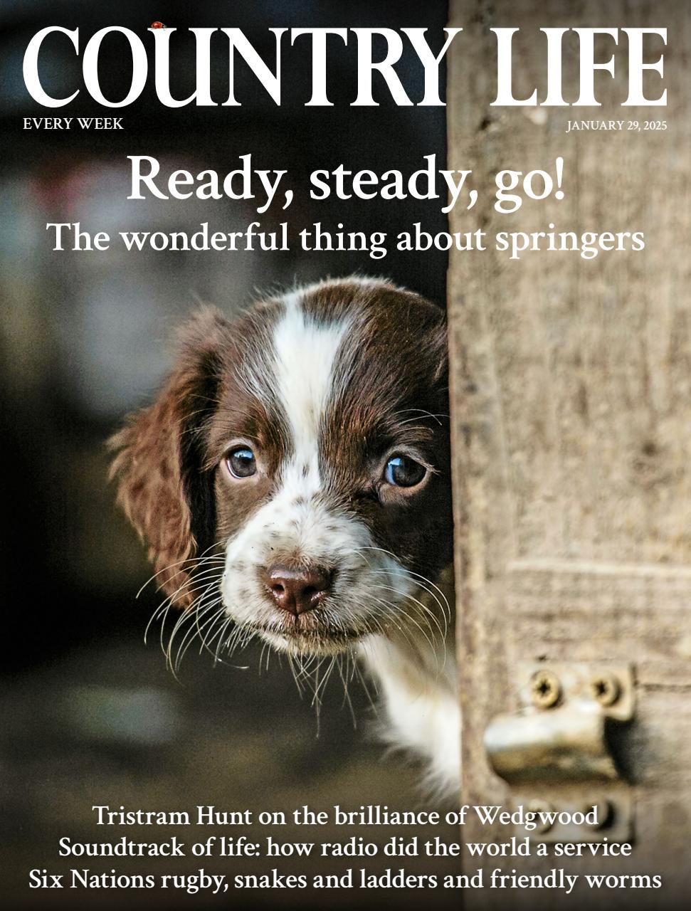 Country Life Preview Pages