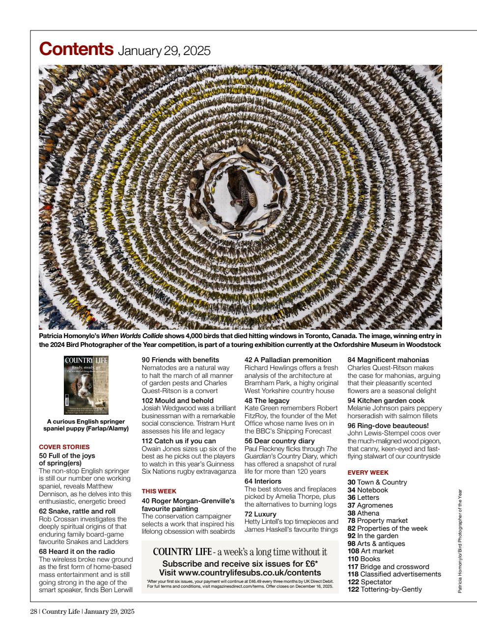 Country Life Preview Pages