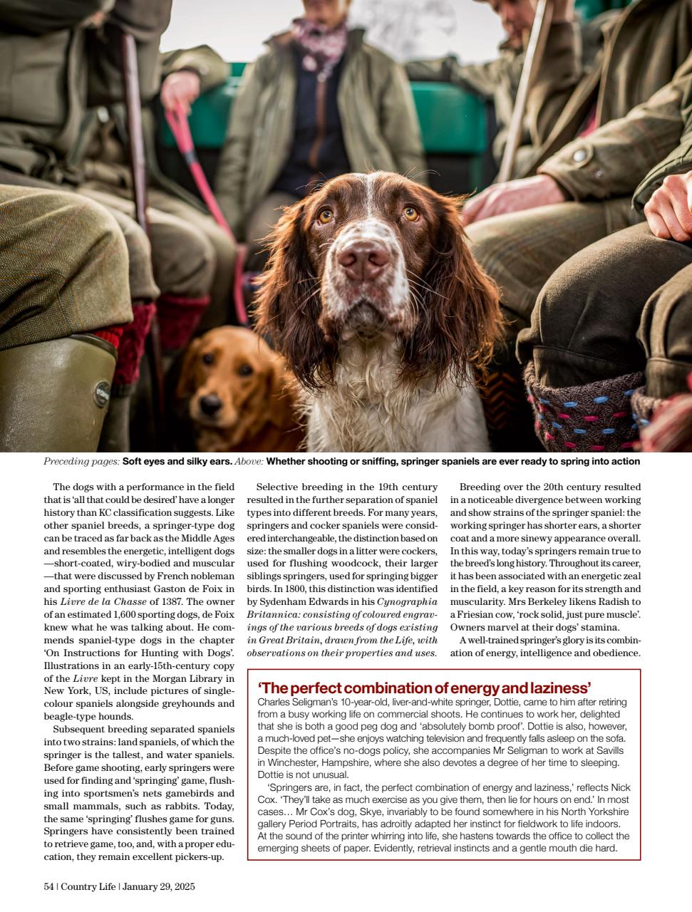 Country Life Preview Pages