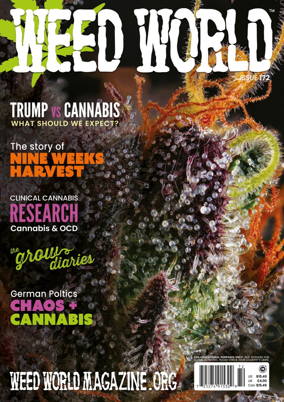 Weed World Preview Pages