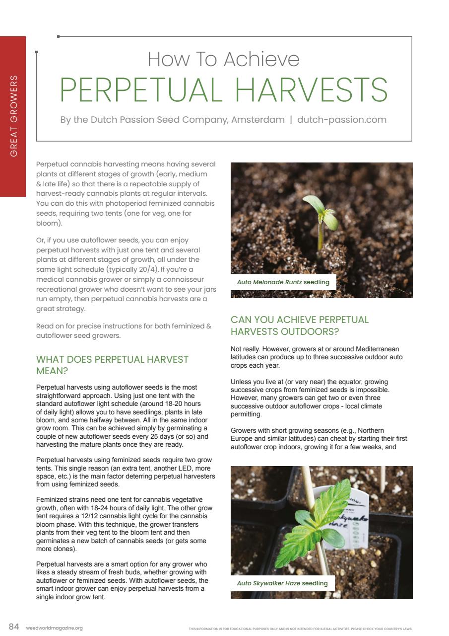 Weed World Preview Pages