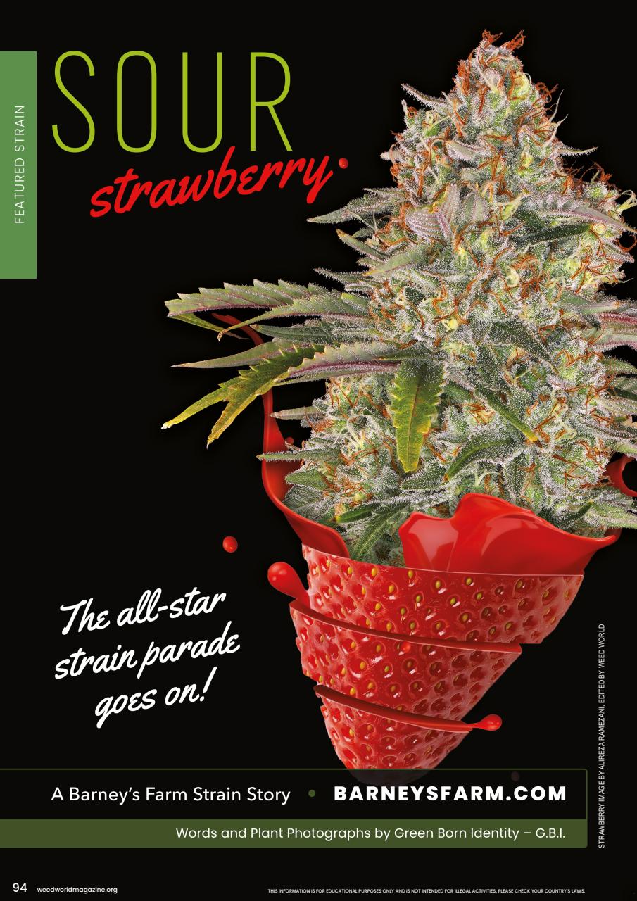 Weed World Preview Pages