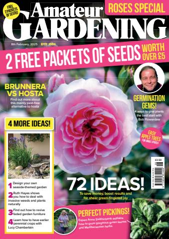 08-Feb-25 issue 08-Feb-25