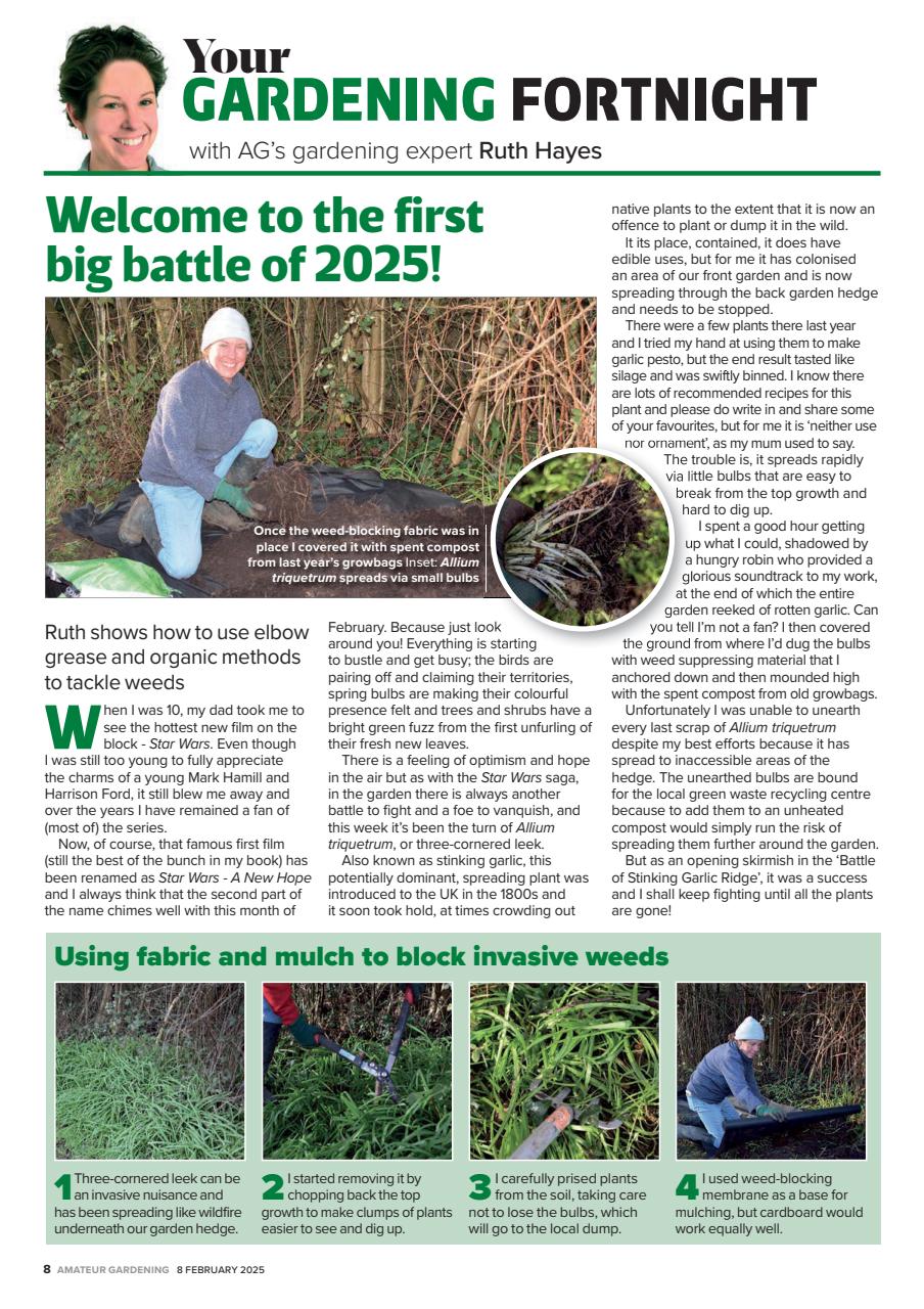 Amateur Gardening Preview Pages