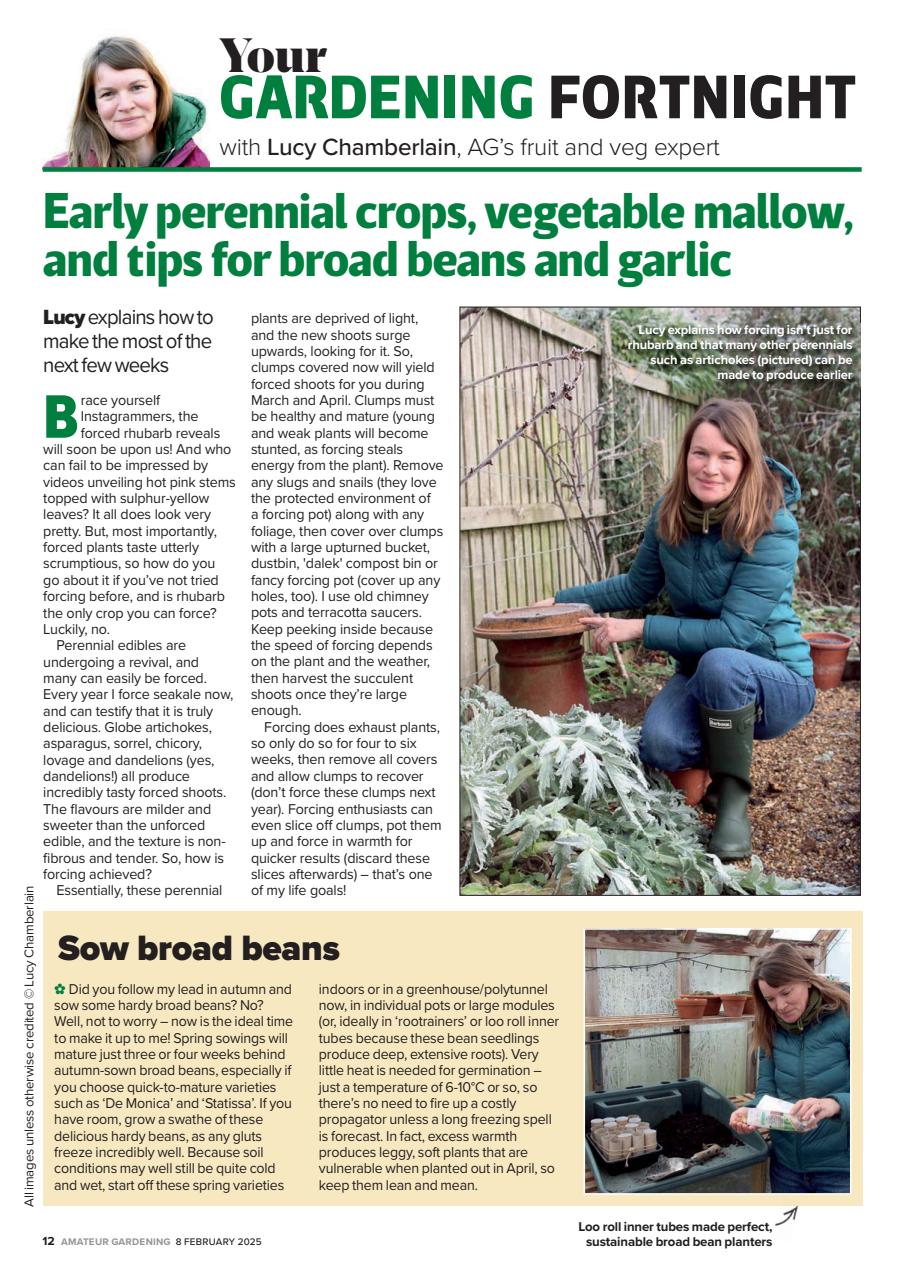 Amateur Gardening Preview Pages