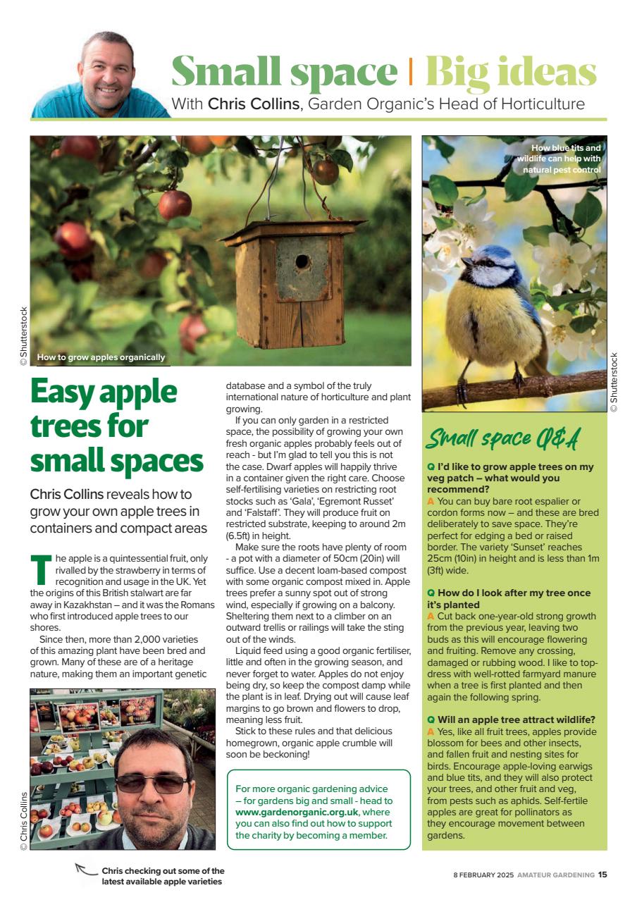 Amateur Gardening Preview Pages