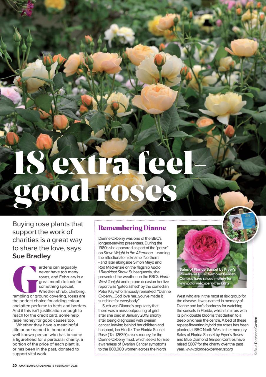 Amateur Gardening Preview Pages