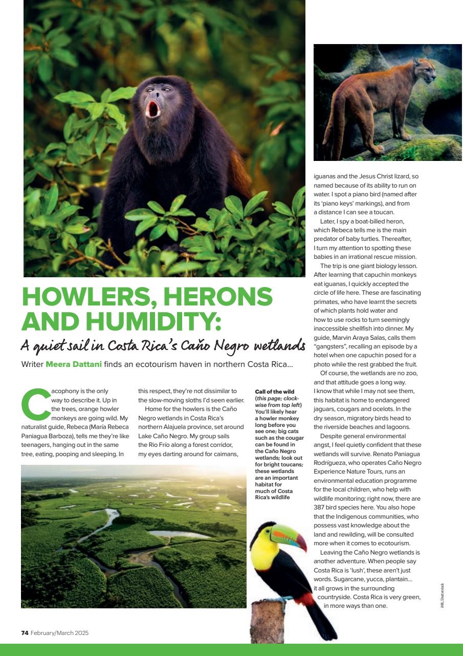 Wanderlust Preview Pages