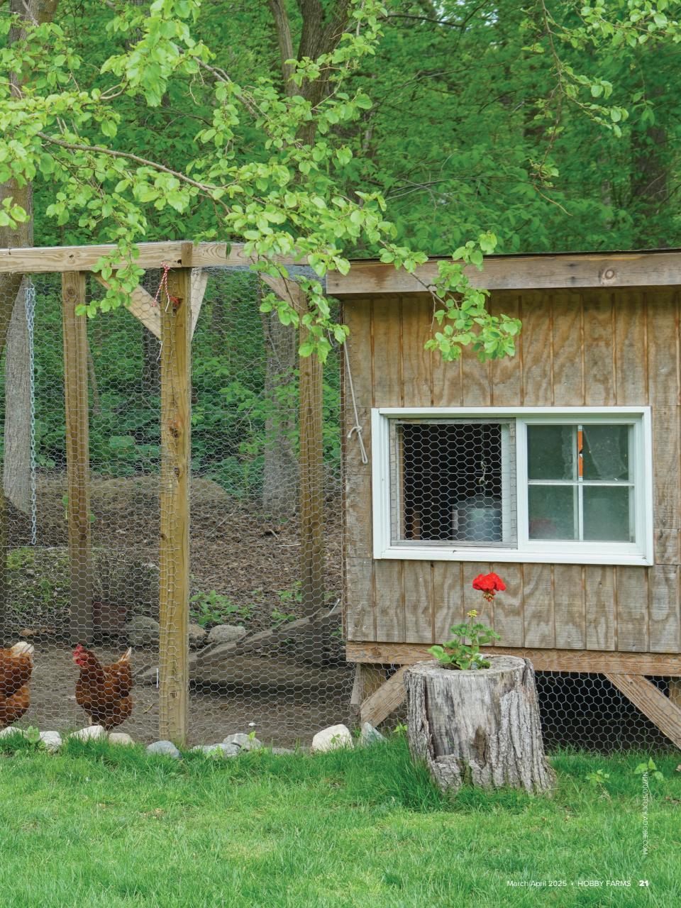 Hobby Farms Magazine Preview Pages