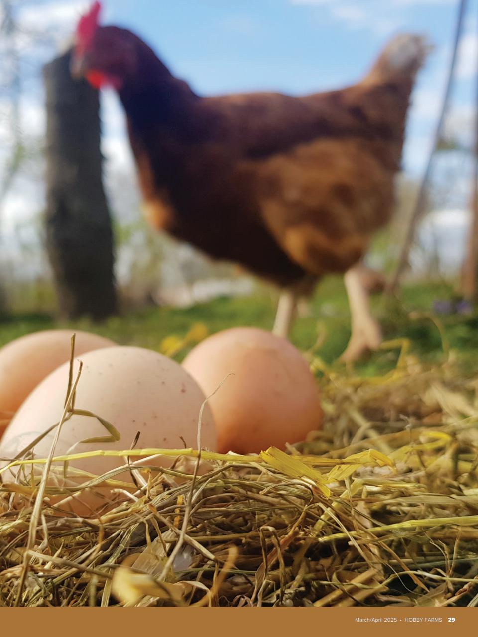 Hobby Farms Magazine Preview Pages