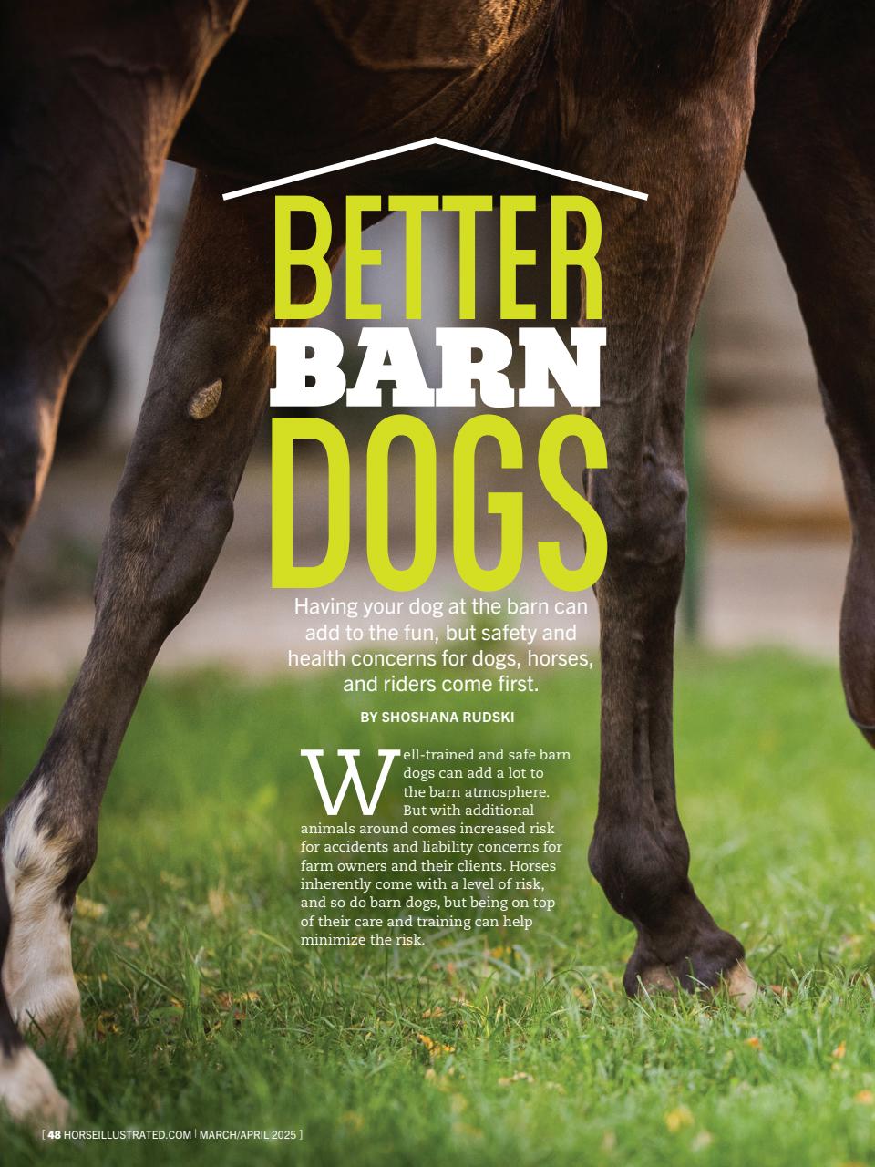 Horse Illustrated Magazine Preview Pages