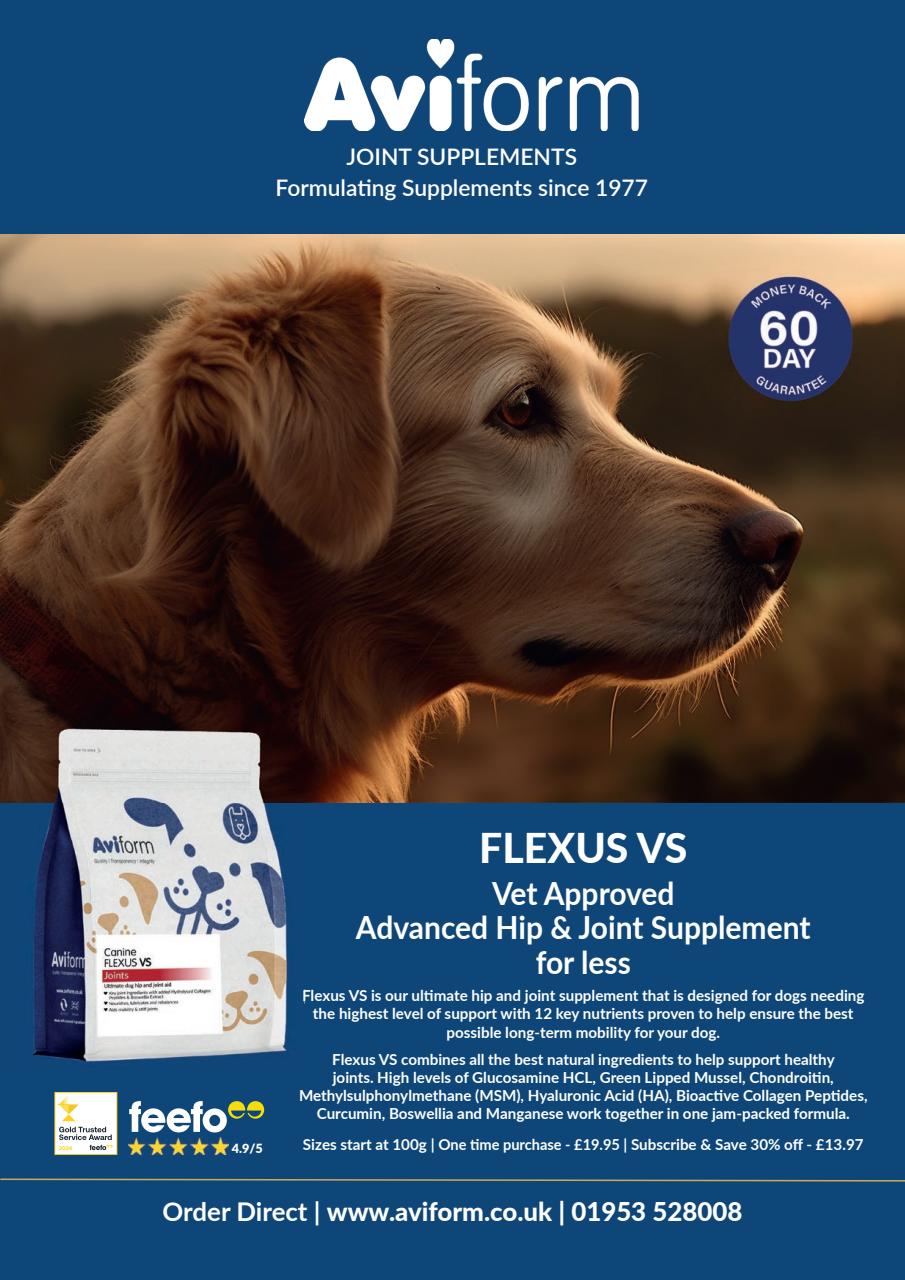 Your Dog Preview Pages