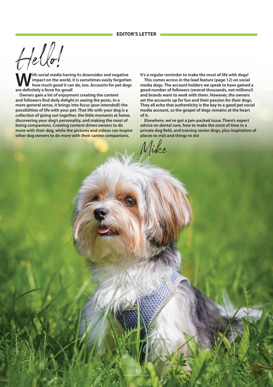 Your Dog Preview Pages
