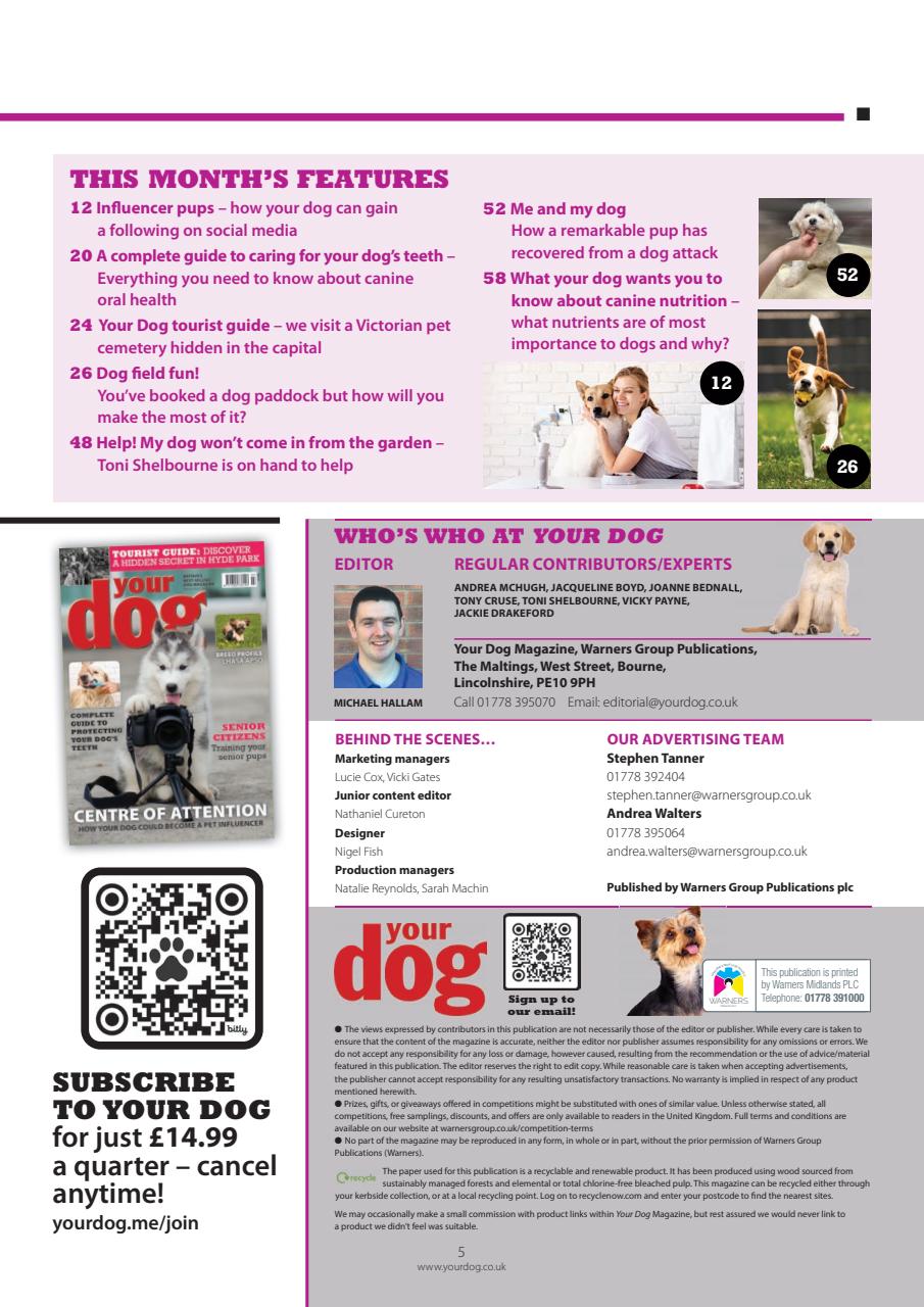 Your Dog Preview Pages