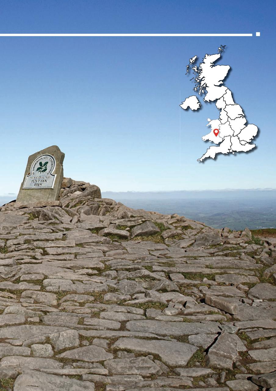 Your Dog Preview Pages