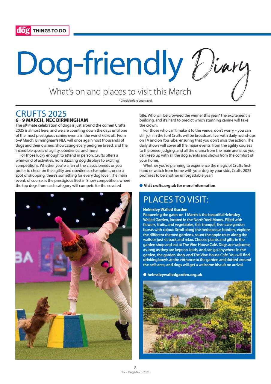 Your Dog Preview Pages
