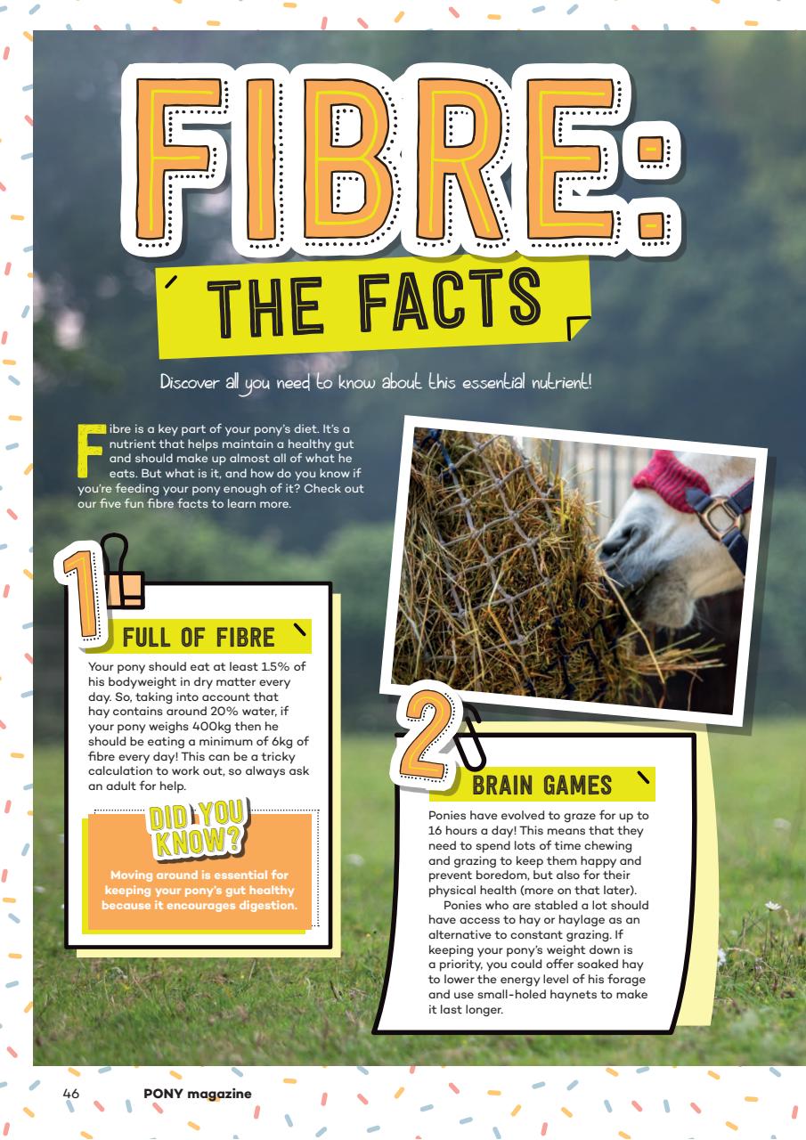 Pony Magazine Preview Pages