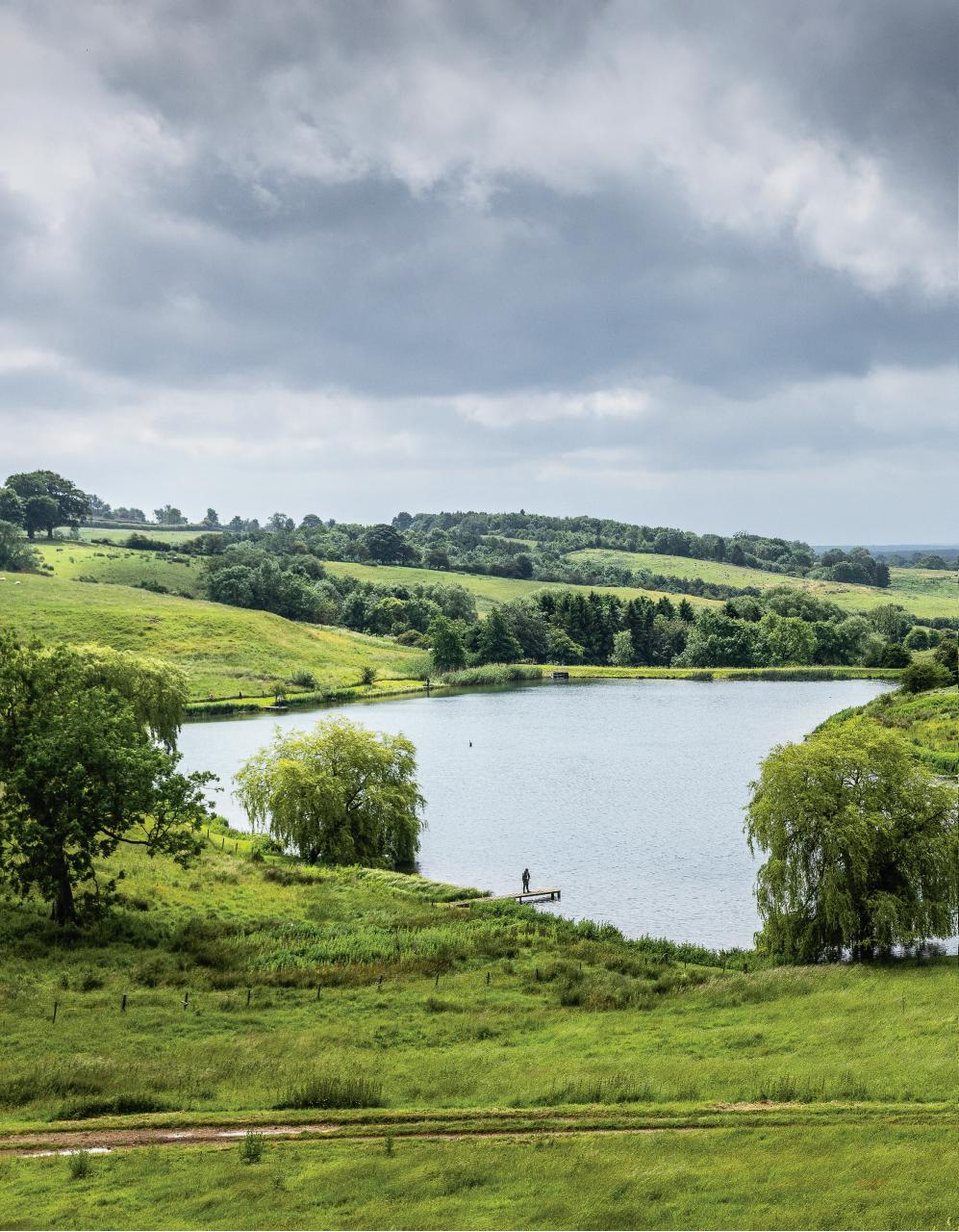 Trout & Salmon Preview Pages