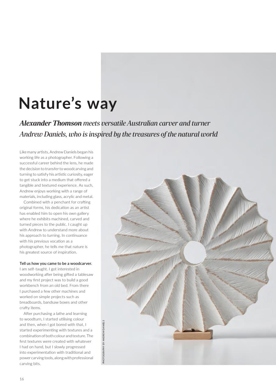 Woodcarving Preview Pages