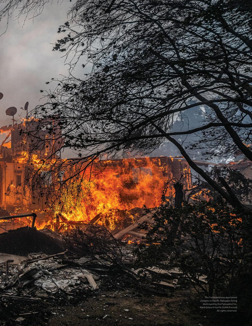 Lens Magazine Preview Pages